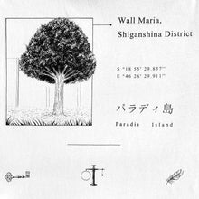 Charger l'image dans la galerie, Tee-shirt Paradis Island